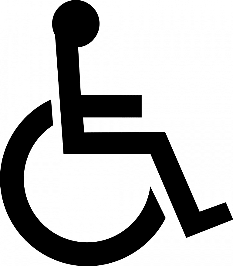 handicap-768x876
