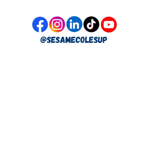 Réseaux sociaux SESAM ECOLE SUP (facebook, instagram, LinkedIn, Tik-tok et Youtube)