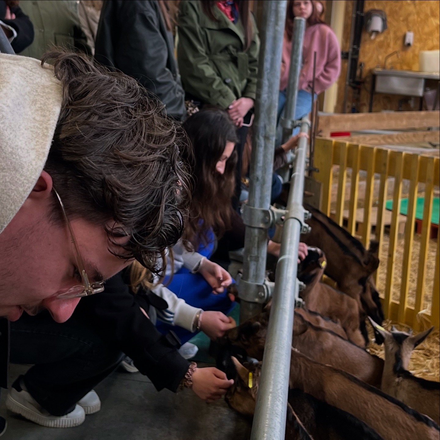 étudiants Sesam à la chèvrerie, Nantes